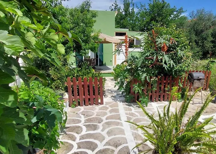 Afionas Das Gruene Haus