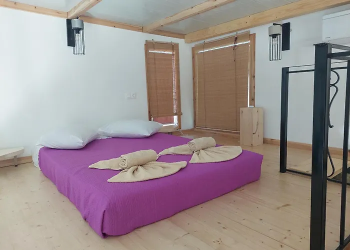 Afionas Das Gruene Haus